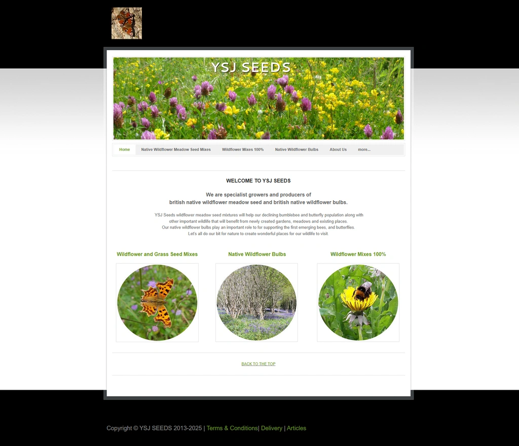 The before example of e-commerce store before migration from Weebly