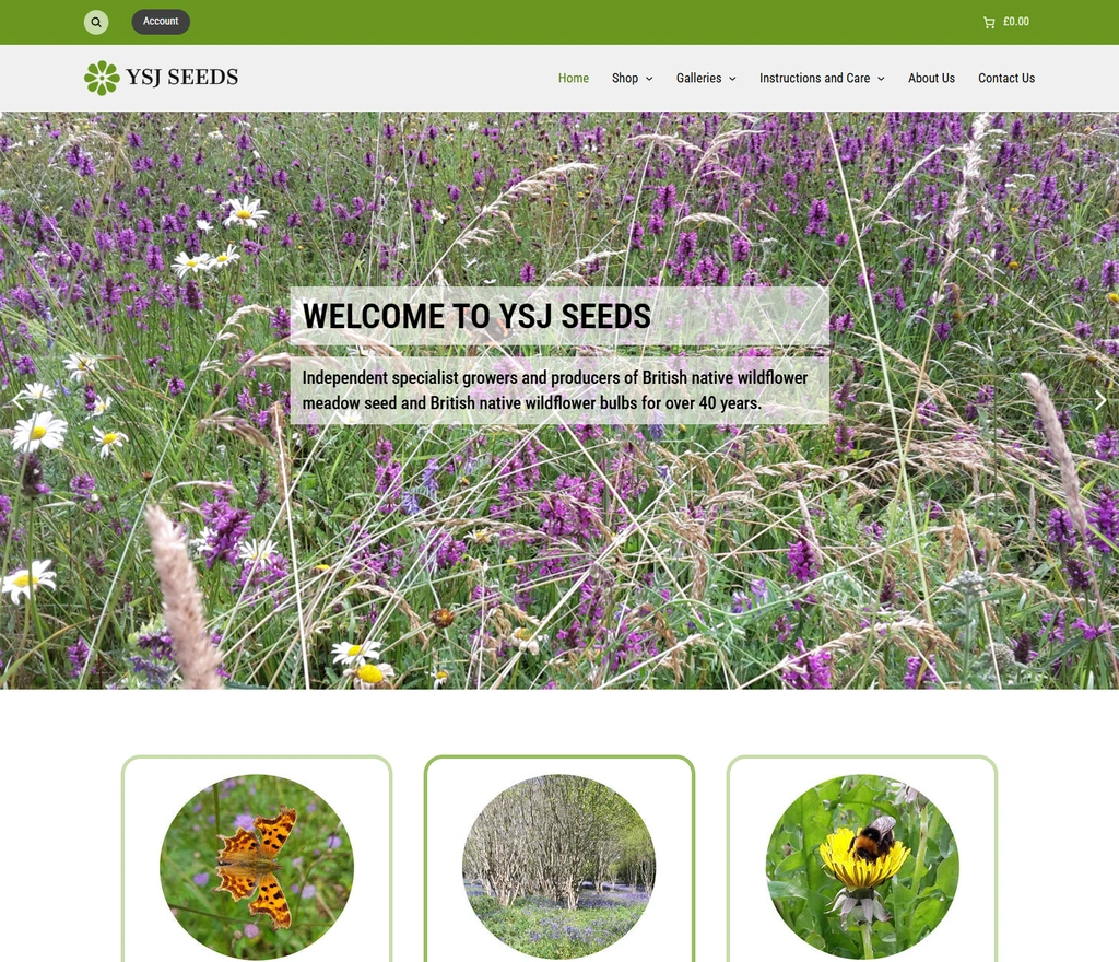 Example of online store website moved from Weebly to WordPress
