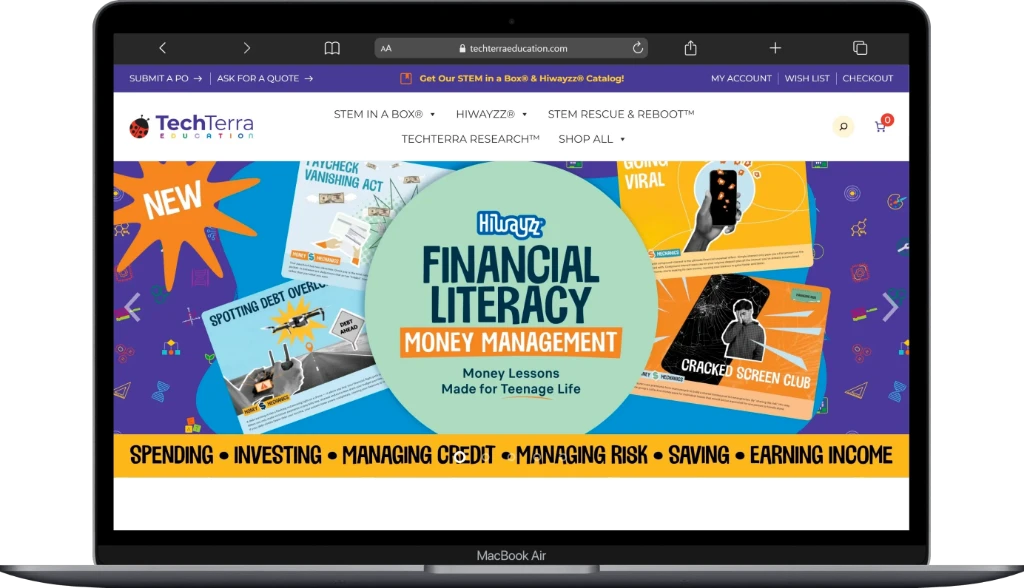 TechTerra website design example